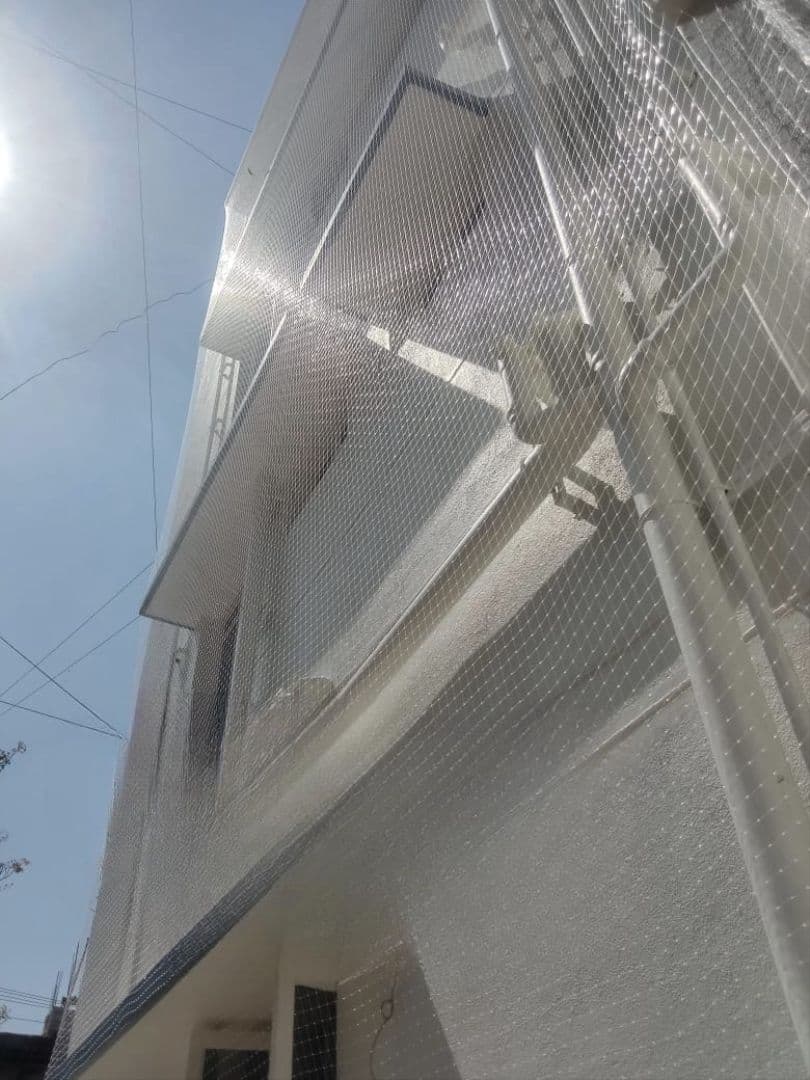 Netting installation 5