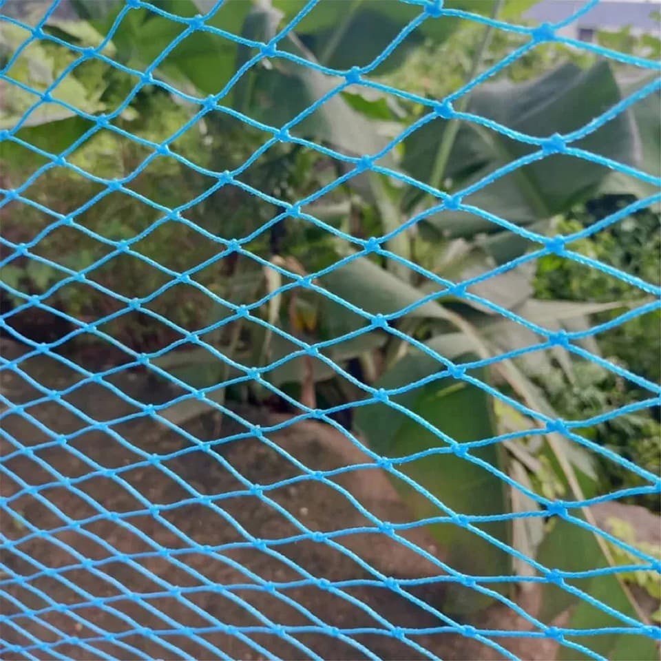 Anti bird netting installation